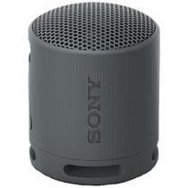 Caixa de Som Sony SRS-XB100 Bluetooth foto principal