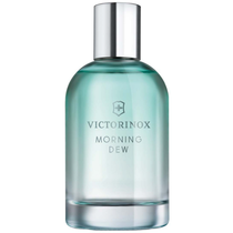 Perfume Victorinox Swiss Army Morning Dew Eau de Toilette Feminino 100ML foto principal
