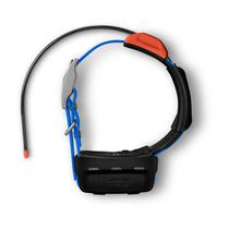 Coleira Garmin Dog Collar com GPS T5X 010-02755-70 com 1 Atm/24 CM/Ate 14.5KM - Preto/Azul