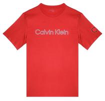 Camiseta Calvin Klein 40DC816 645- Masculina