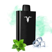 Vape Descartavel Ignite V80 8000 Puffs com 50MG Nicotina - Ice Mint