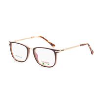 Armacao para Oculos de Grau Visard B2308-TR C2 Tam. 51-18-135MM - Animal Print/Dourado