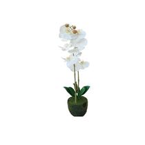 Deco Orquidea Blanca En Maceta
