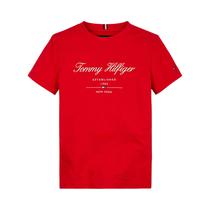 Camiseta Tommy Hilfiger MW0MW30040 XLG
