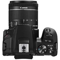 Câmera Digital Canon EOS Rebel SL3 24.1MP 3.0" Lente EF-S 18-55MM IS STM foto 1