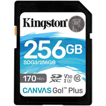 Cartão de Memória Kingston Canvas Go! Plus SDXC 256GB Classe 10 foto principal