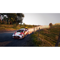 Game WRC 9 Playstation 4 foto 3