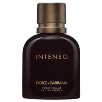 Perfume Dolce & Gabbana Intenso Eau de Parfum Masculino 40ML foto principal