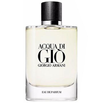 Perfume Giorgio Armani Acqua Di Giò Eau de Parfum Masculino 125ML foto principal