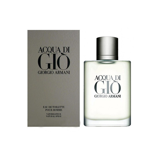 Perfume Giorgio Armani Acqua Di Gio Eau De Toilette Masculino 100ml