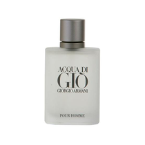 Perfume Giorgio Armani Acqua di Gio Eau de Toilette Masculino 30ML foto principal