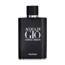 Perfume Giorgio Armani Acqua Di Gio Profumo Eau de Parfum Masculino 125ML foto principal