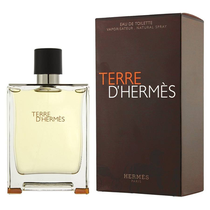 Perfume Hermes Terre D'Hermes Eau de Toilette Masculino 100ML foto 2