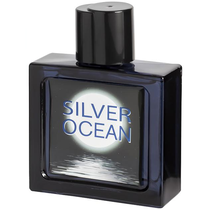 Perfume Omerta Silver Ocean Eau de Toilette Masculino 100ML foto principal