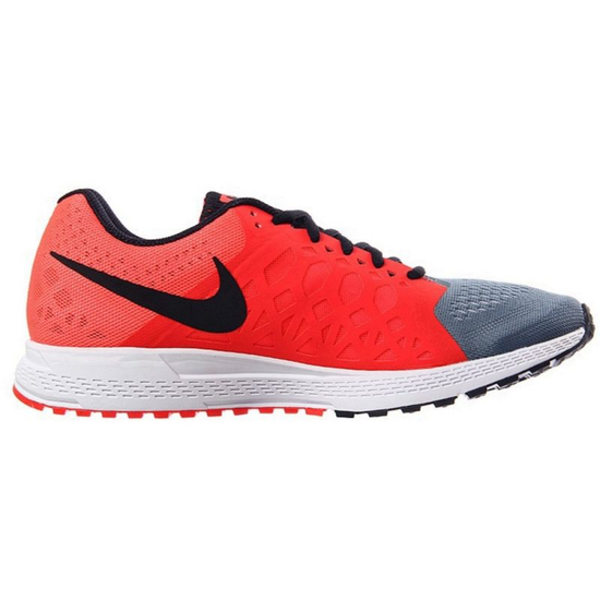 Nike pegasus 31 hotsell uomo 2014