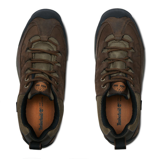 Tenis timberland best sale antigo