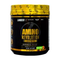 Amino Revolution Landerfit Lemon 480G 30 Serv.