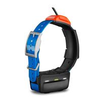 GPS Garmin T5 Mini Coleira de Cachorro - Azul