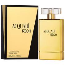 Perfume Acquadi Rich Edt Masculino - 100ML
