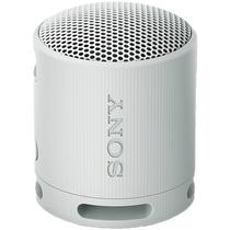 Alto-Falante Portatil Sony SRS-XB100 - Cinza