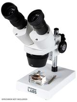 Microscopio Celestron Labs Deluxe 30X - S1030N