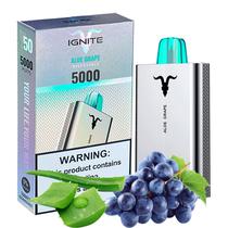 Vape Descartavel Ignite V50 5000 Puffs com 50MG Nicotina - Aloe Grape
