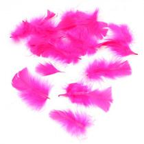 Penas Decorativas para Festa 100 Unidades Pink