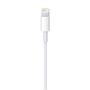 Apple Cabo USB p/iPhone 5/6/7 A1510 2MT Cartela