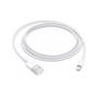 Apple Cable USB (1M)