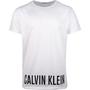 Camiseta Calvin Klein Masculino KM0KM00193-100 s - Branco