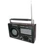 Radio Portatil Ecopower EP-F100B - USB/SD/Aux - AM/FM - Bluetooth - Preto